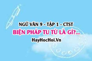 Biện pháp tu từ chơi chữ là gì? Điệp thanh, điệp vần là gì? đặc điểm và tác dụng Ngữ văn lớp 9